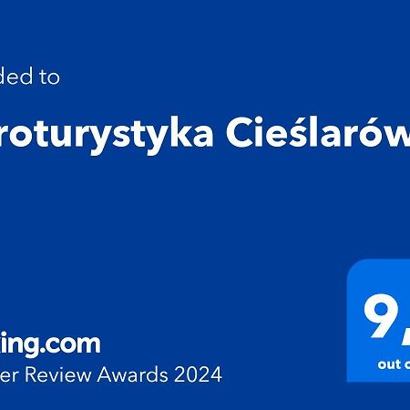 Agroturystyka Cieslarowka Lubawka Eksteriør bilde